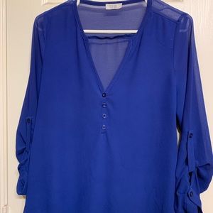 Sheer Blouse